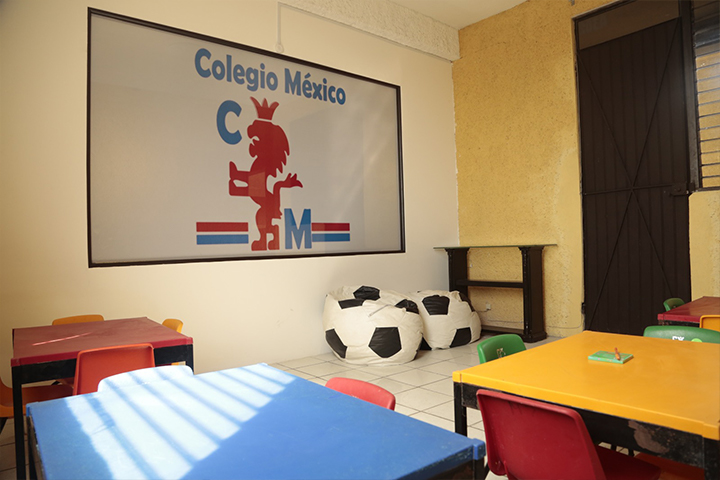 Imagen 5